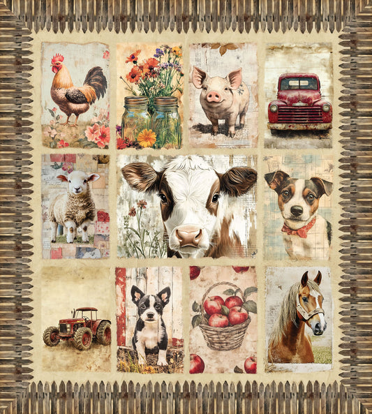 DV6797 COOPS FARM