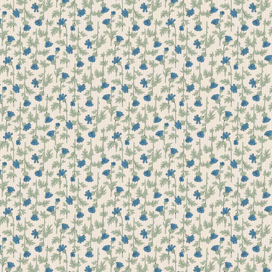 DV6816 FORGET-ME-NOT ROSE MARY PINK