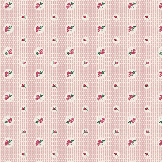 DV6822 FORGET-ME-NOT ROSE EVIE PINK