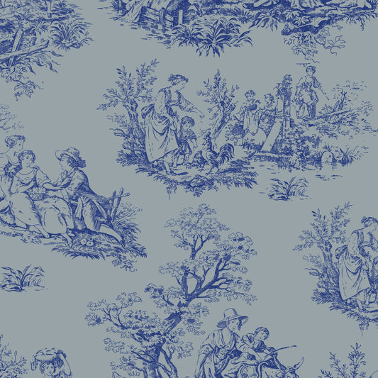DV6838 MISCELLANY TOILE
