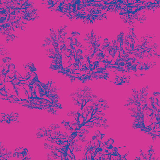 DV6840 MISCELLANY TOILE