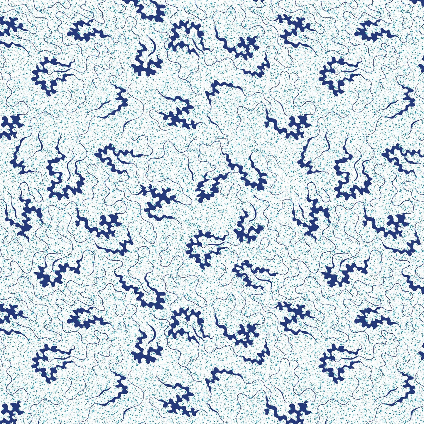 DV6847 MISCELLANY CORNELLI