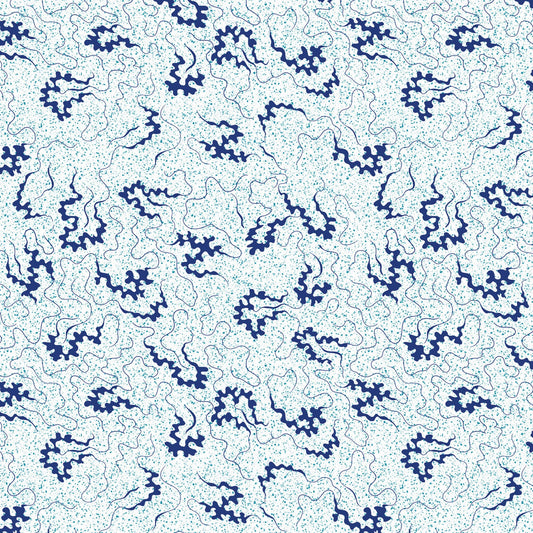 DV6847 MISCELLANY CORNELLI