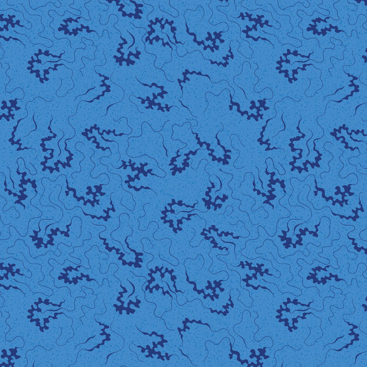 DV6848 MISCELLANY CORNELLI