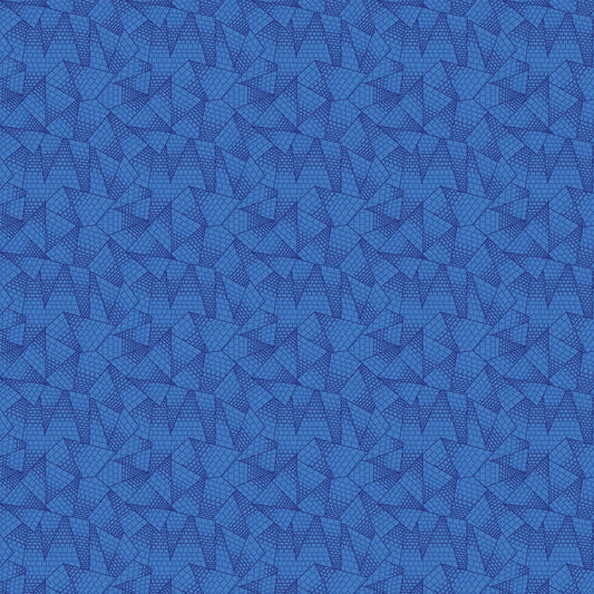 DV6853 MISCELLANY TRIANGULATION
