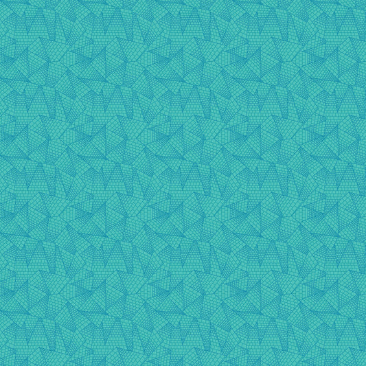DV6855 MISCELLANY TRIANGULATION