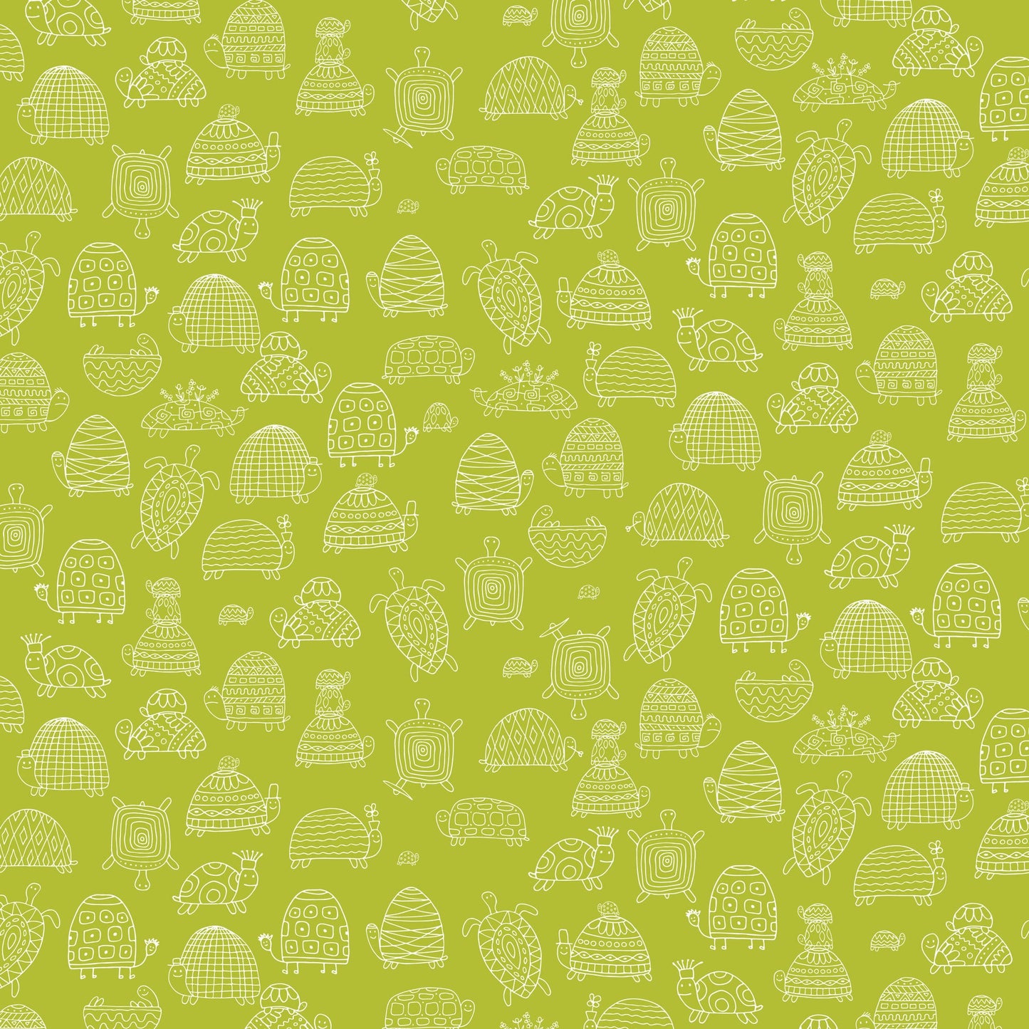 DV7214 TURTLE-Y AWESOME