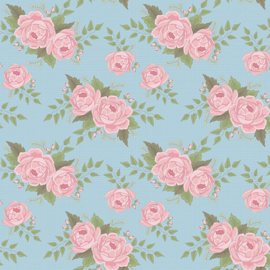 DV7300 Molly & May Blue