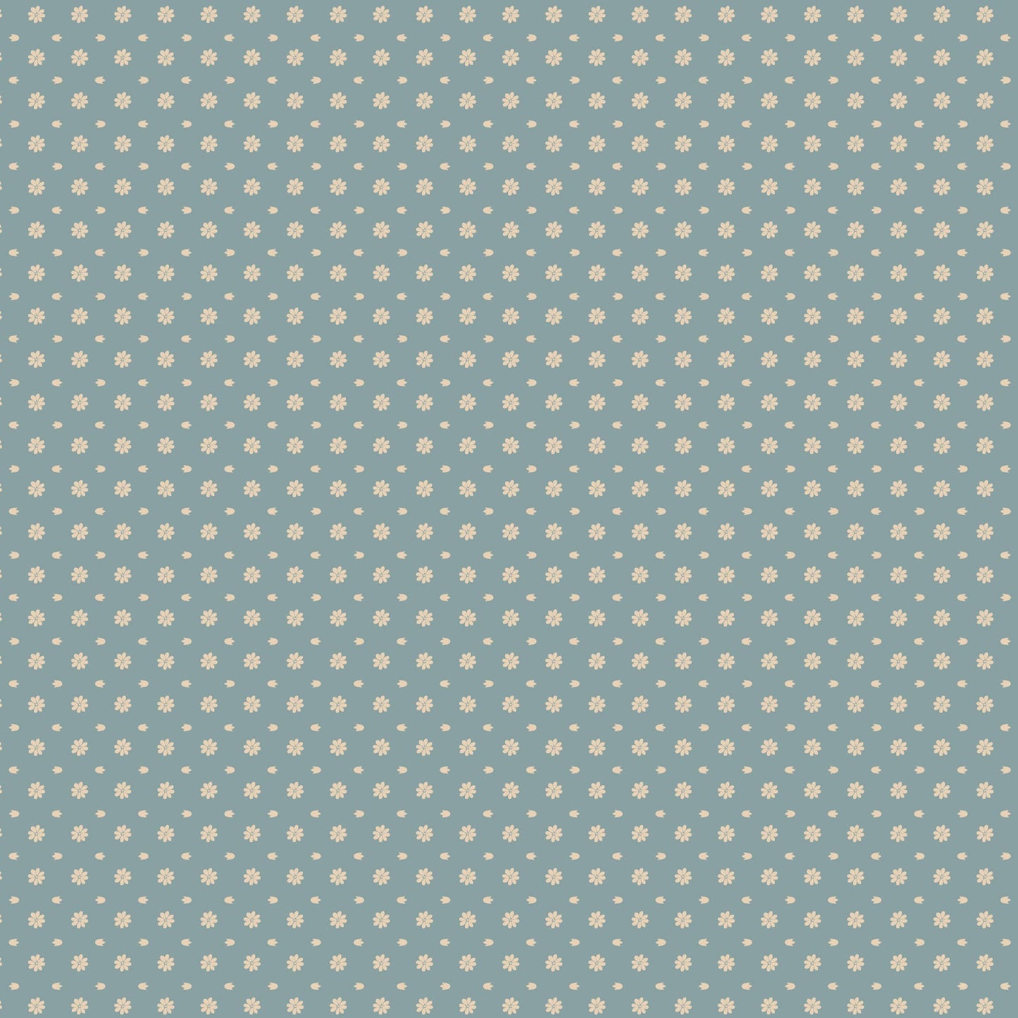 DV7313 Molly & May Dark Blue Spot
