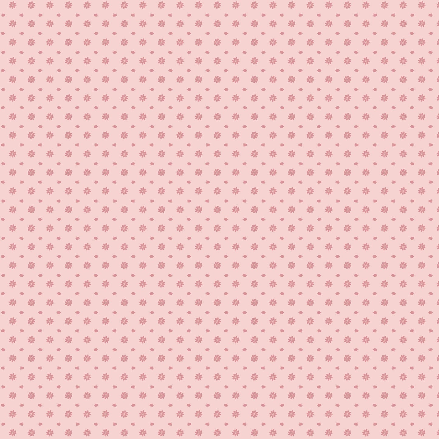 DV7314 Molly & May Pink Spot