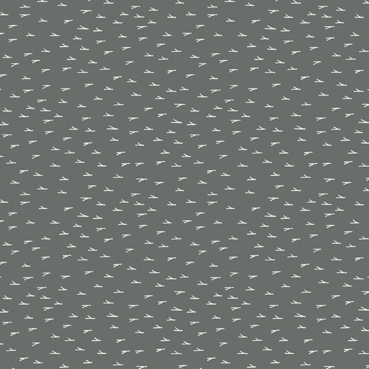 DV7536 Earth Collection