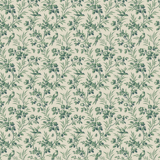 DV7590 Constance Lunette Coordinate