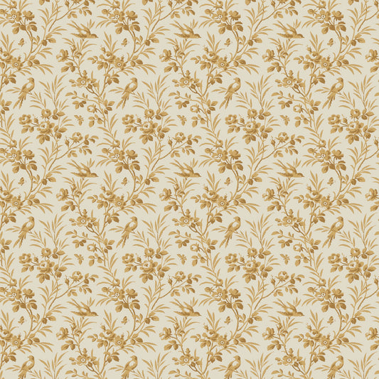 DV7591 Constance Lunette Coordinate