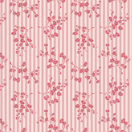 DV7655 Darling Buds of May