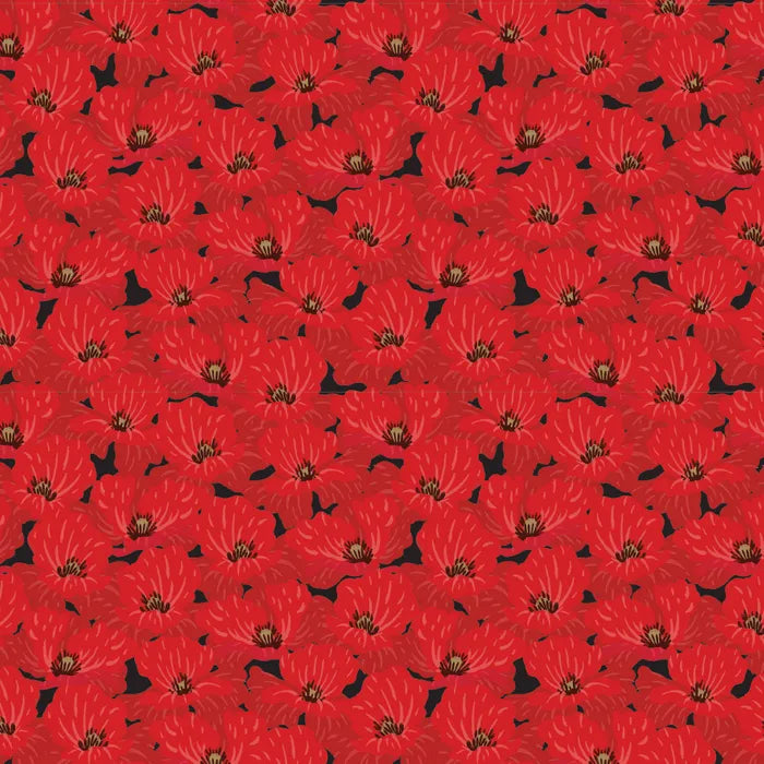DV8013 Poppies