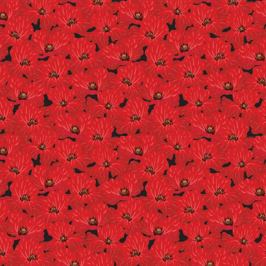 DV8013 Poppies