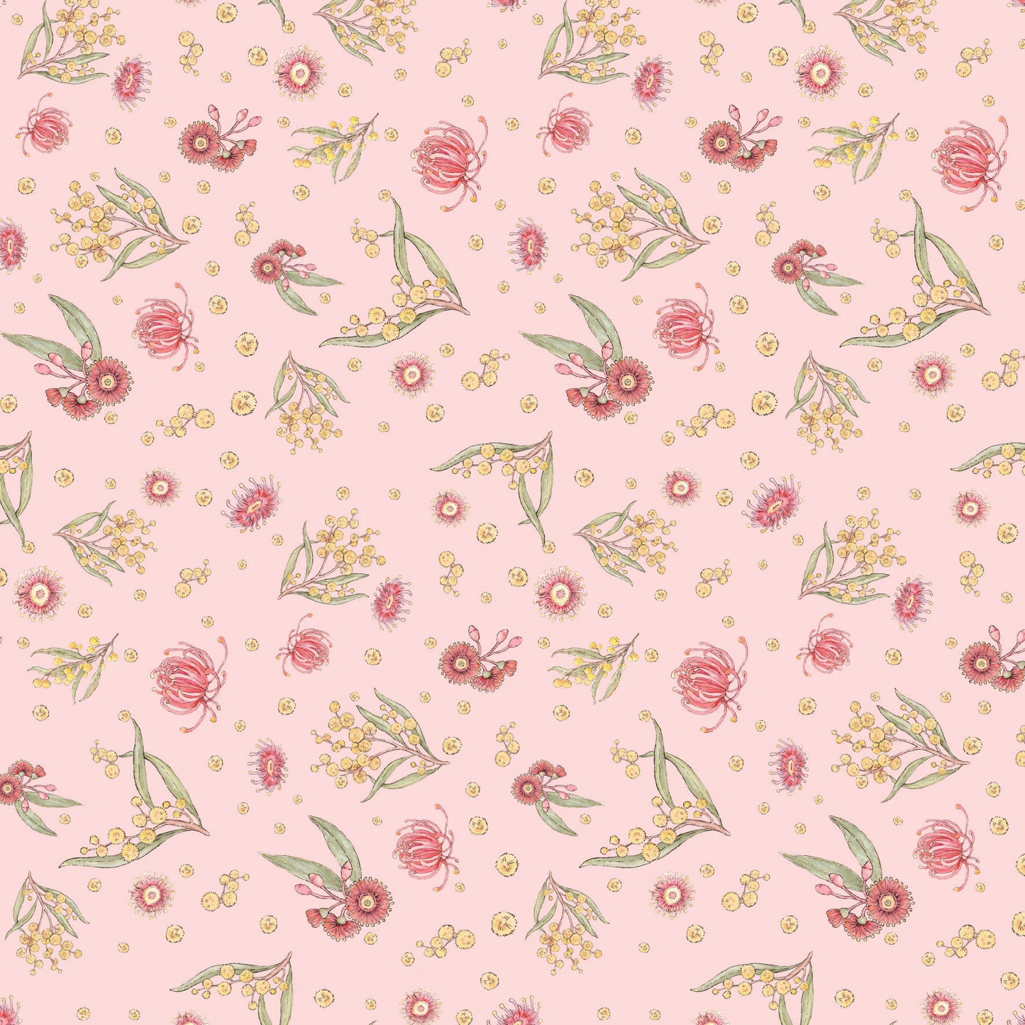 DV8056 Koala Ballerina