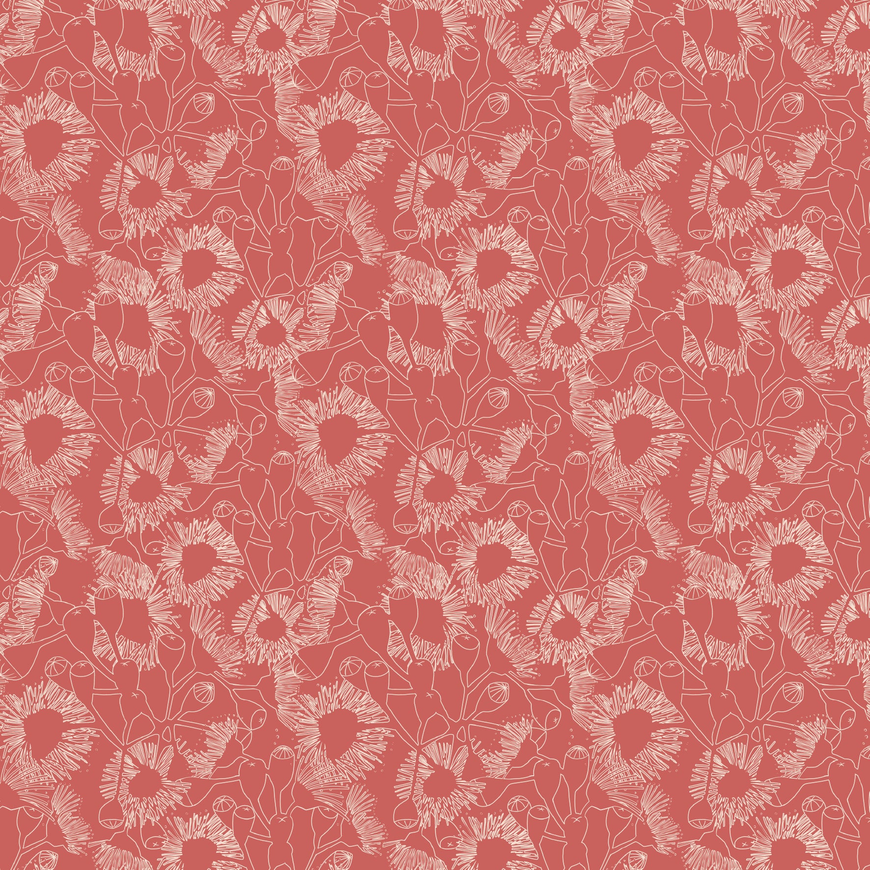 DV8153 Aussie Backyard Colourscapes
