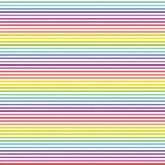 DVBB2801 BIAS 25MM 1/8 STRIPE WHITE RAINBOW