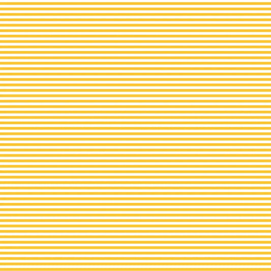 DVBB2835 BIAS 25MM 1/8 STRIPE SUNNYSIDE
