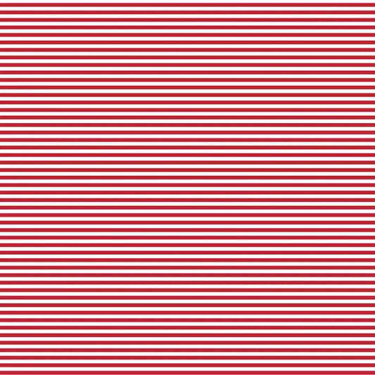 DVBB2840 BIAS 25MM 1/8 STRIPE RED DELICIOUS