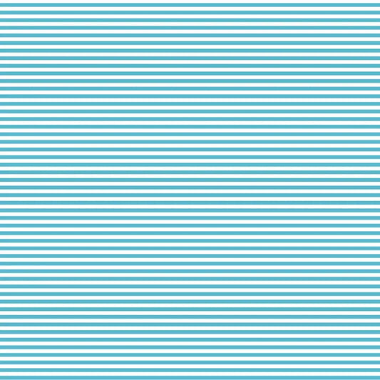 DVBB2860 BIAS 25MM 1/8 STRIPE BARRIER BLUE