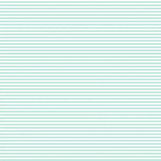 DVBB2870 BIAS 25MM 1/8 STRIPE SEAFOAM