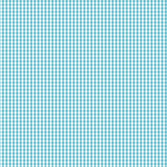 DVBB2953 BIAS 25MM 1/8 CHECK BARRIER BLUE