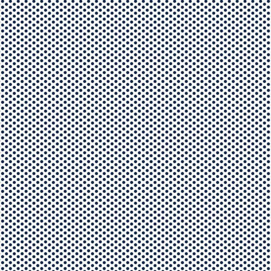 DVBB2954 BIAS 25MM 1/8 SPOT GAMBIER BLUE