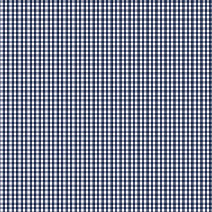 DVBB2956 BIAS 25MM 1/8 CHECK GAMBIER BLUE
