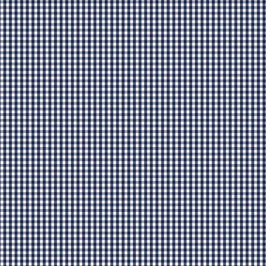 DVBB2956 BIAS 25MM 1/8 CHECK GAMBIER BLUE