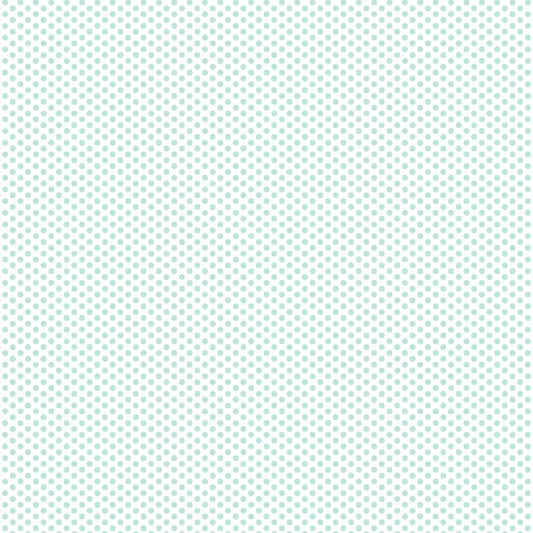DVBB2957 BIAS 25MM 1/8 SPOT SEAFOAM