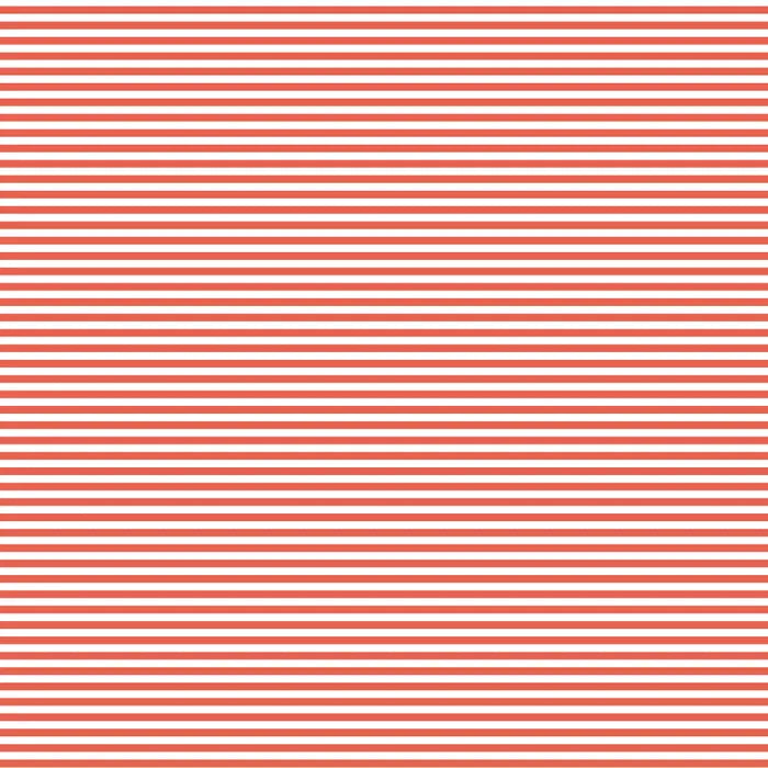 DVBB2977 BIAS 25MM 1/8 STRIPE GEORGIA