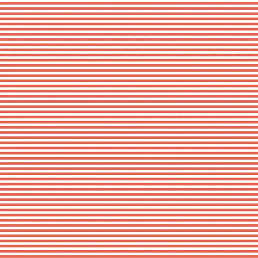 DVBB2977 BIAS 25MM 1/8 STRIPE GEORGIA