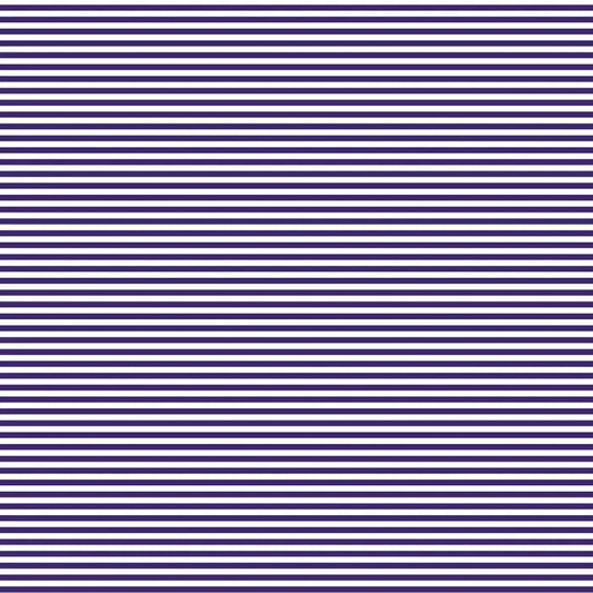 DVBB2998 BIAS 25MM 1/8 STRIPE JEFF