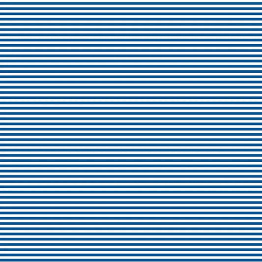 DVBB3012 BIAS 25MM 1/8 STRIPE NAUTICAL