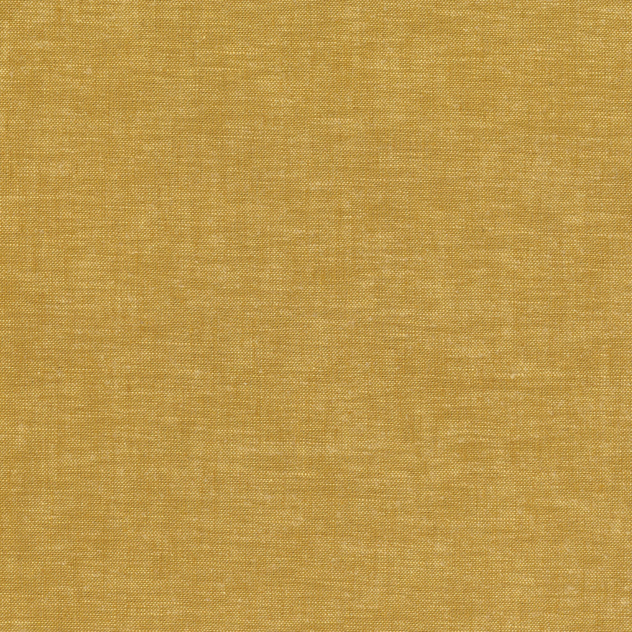 DVH21240 Hasting Street Yarn Dyed Mustard