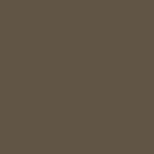 MAS500-CHRO Kimberbell Solids by Maywood Studio