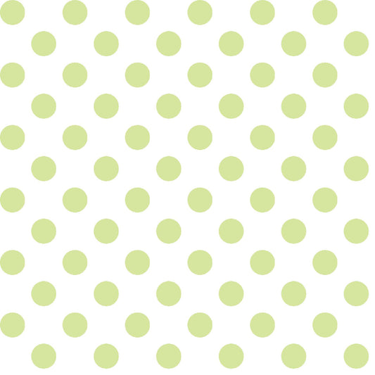 MAS8216-G2 Kimberbell Basics by Maywood Studio