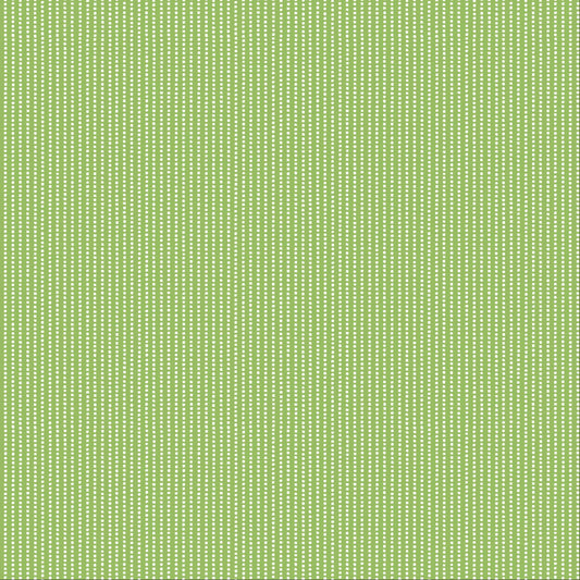 MAS8259-G Kimberbell Basics by Maywood Studio