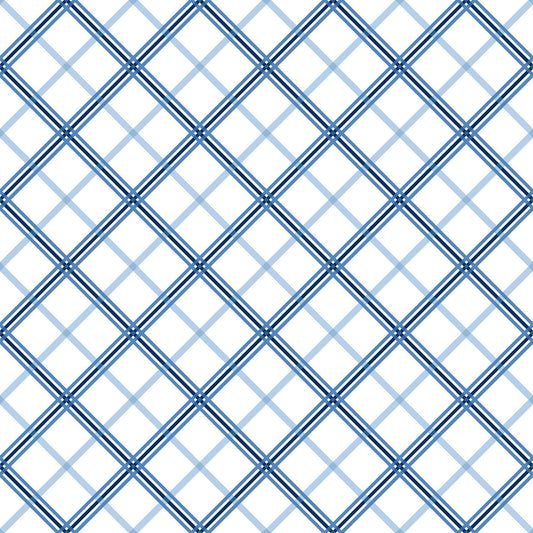 MAS8262-B Kimberbell Basics by Maywood Studio