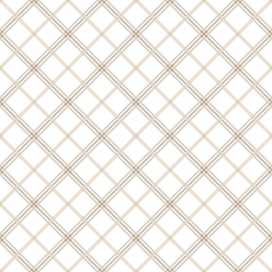 MAS8262-E Kimberbell Basics by Maywood Studio