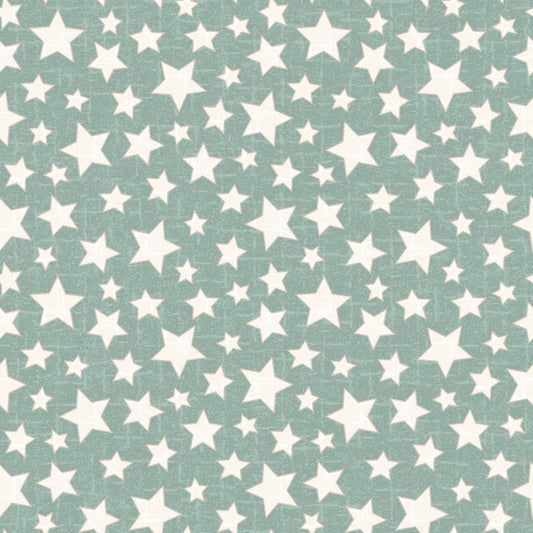 MASF11165-Q Snowtop Mountain Flannel by Bonnie Sullivan from Maywood Studio