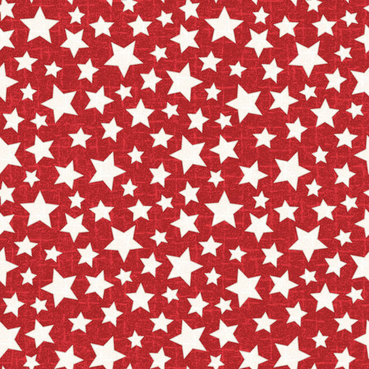 MASF11165-R Snowtop Mountain Flannel by Bonnie Sullivan from Maywood Studio