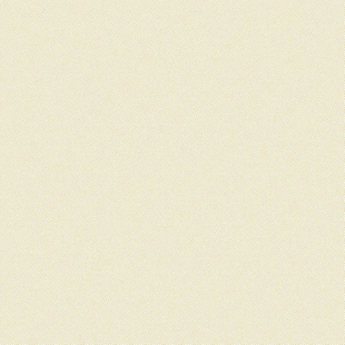 PP1503.IVORY Petra Prins Pin Dots Dot Ivory