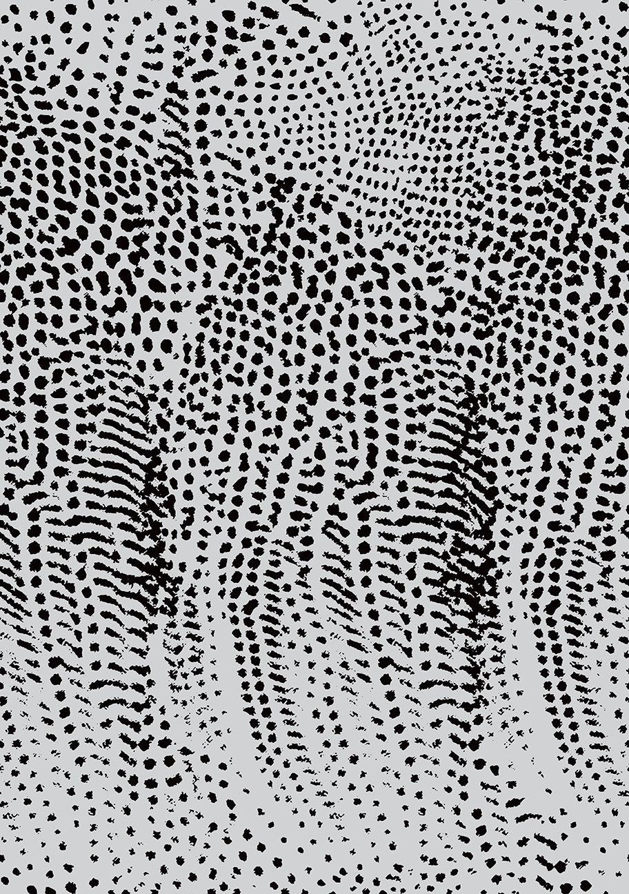 PWAJ007.LTGRAY Salty Squares Guinea Dots