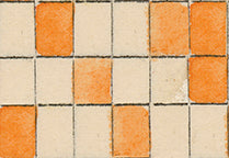 PWCD196.XMULTI The Patch Maize