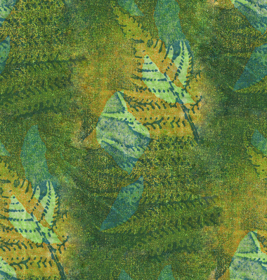 PWDB077.PINE South Seas Enduring Ferns
