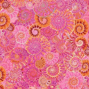 PWPJ128.PINK Classics & Stash Ammonites