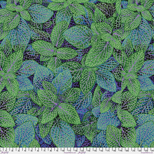 PWPJ129.GREEN Classics & Stash Fittonia